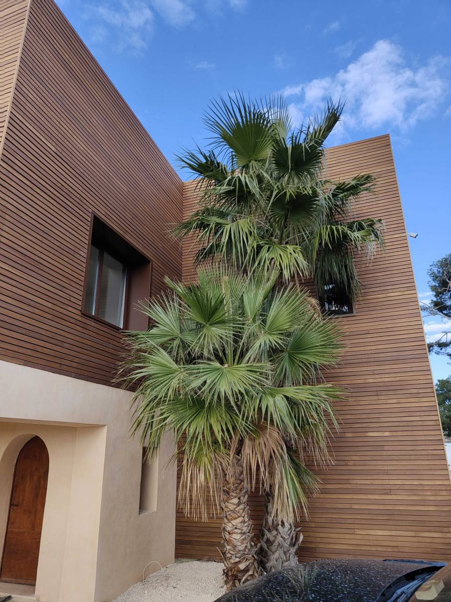 Projet d'agrandissement avec une extension à structure ossature bois à Alès