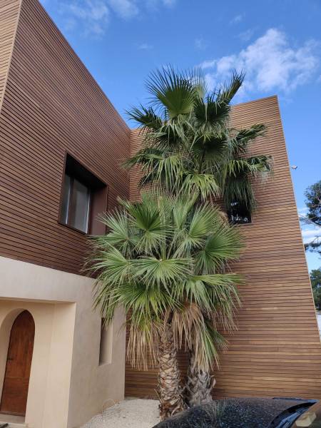 Surélévation et rénovation de maison à Agde